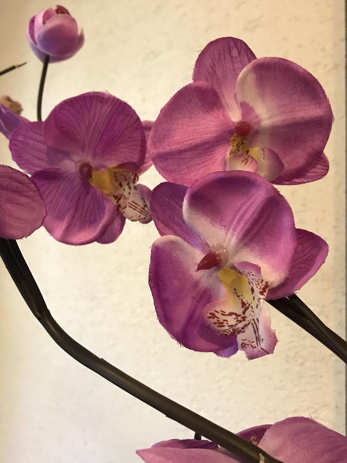Chata Rosa Malenovice  Экстерьер фото